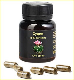 Купить худию гордони Худия