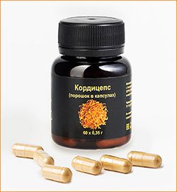 Купить кордицепс китайский Кордицепс