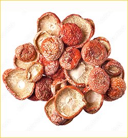 Купить мухомор шляпки и капсулы Мухомор